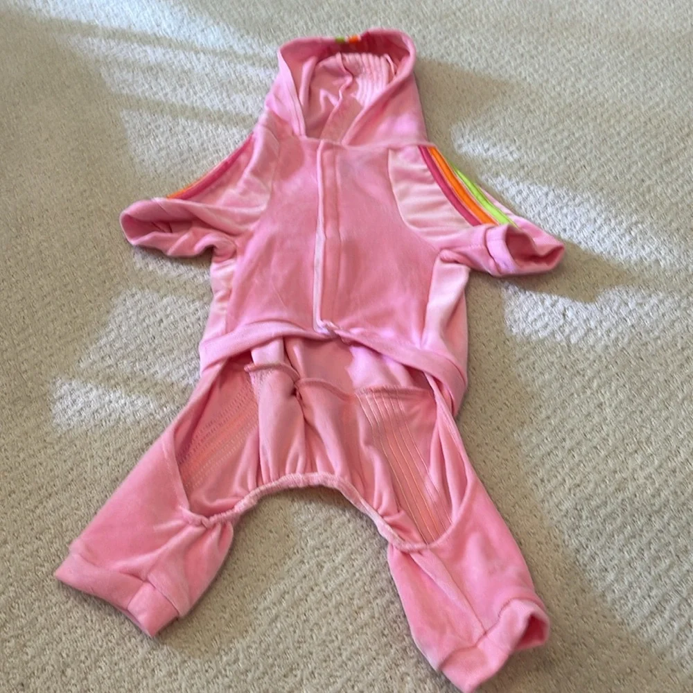 Female Dog outfit
